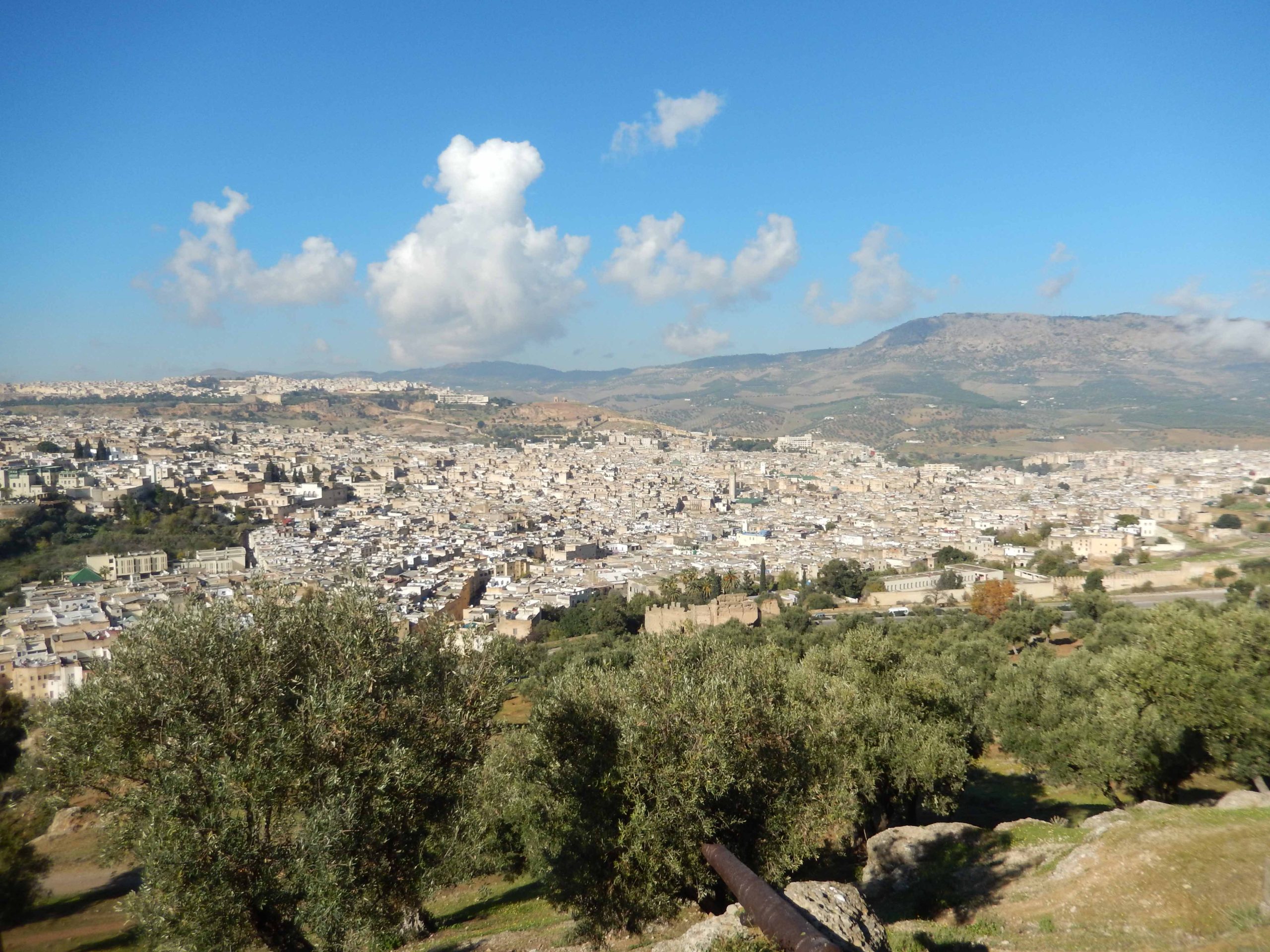 View from Borj Nord
