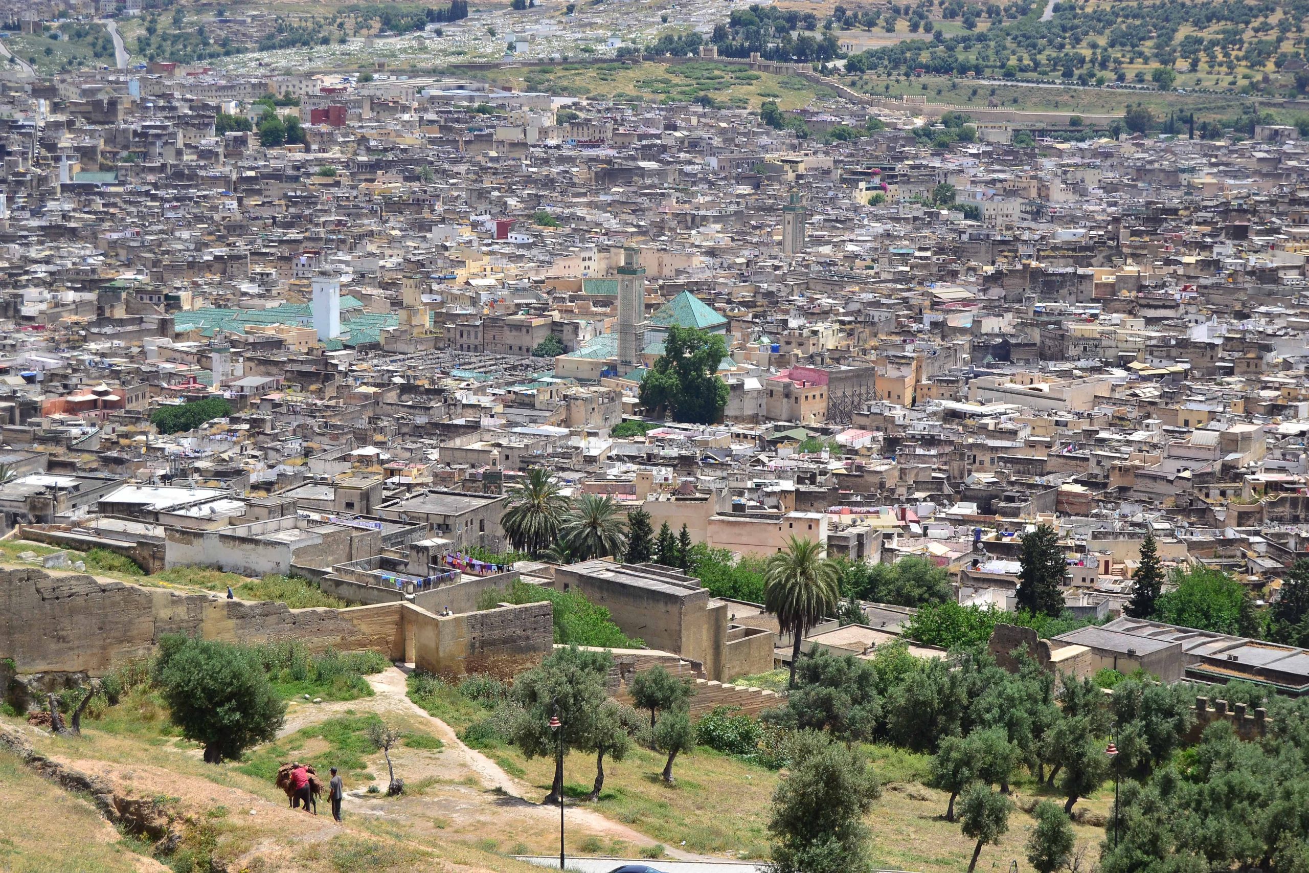 View from Marinid Tombs