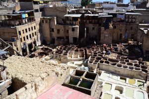 Fez tanneries - Sidi Moussa