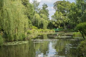 Water lily pond in Monet's garden Giverny
