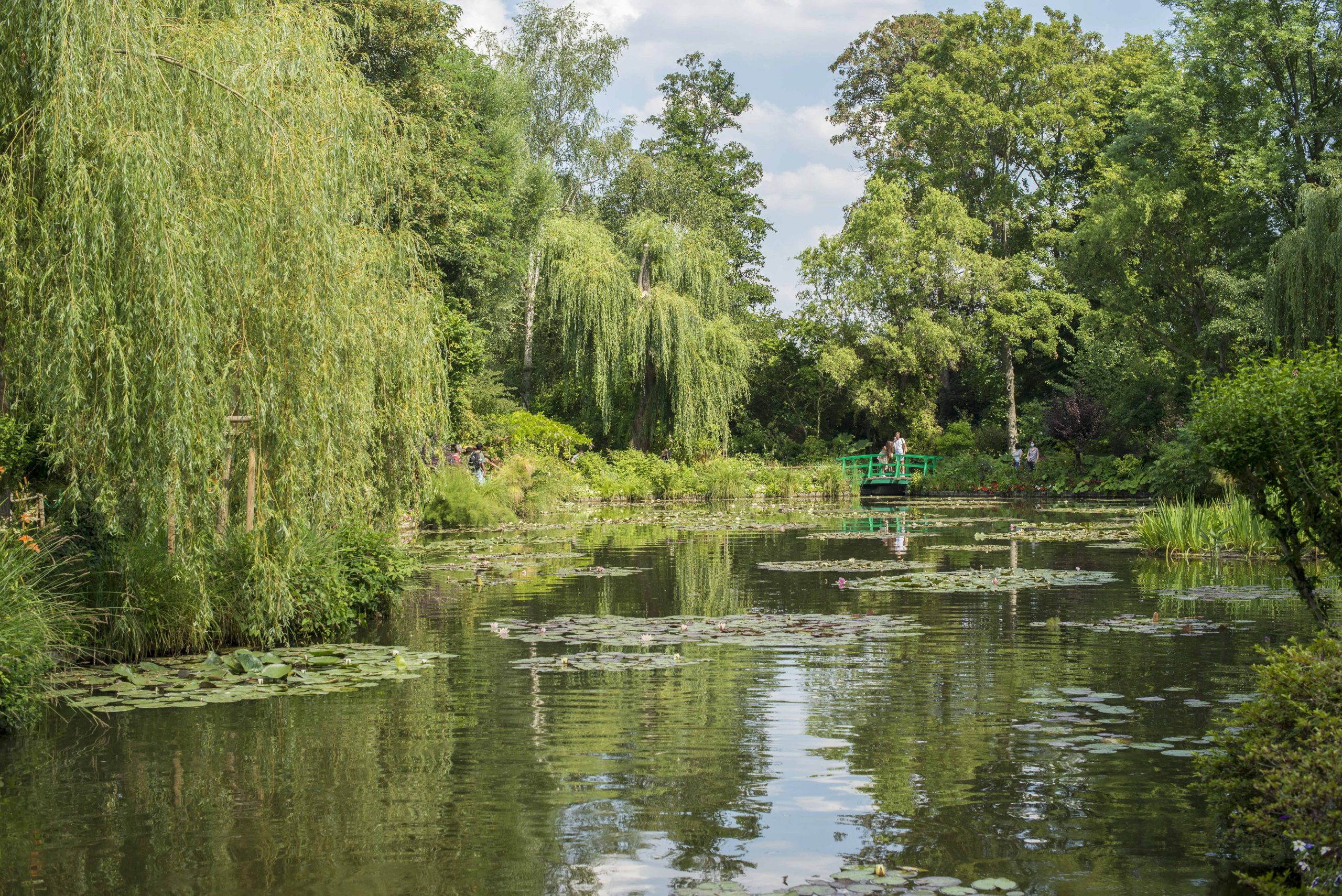 Water lily pond in Monet's garden Giverny